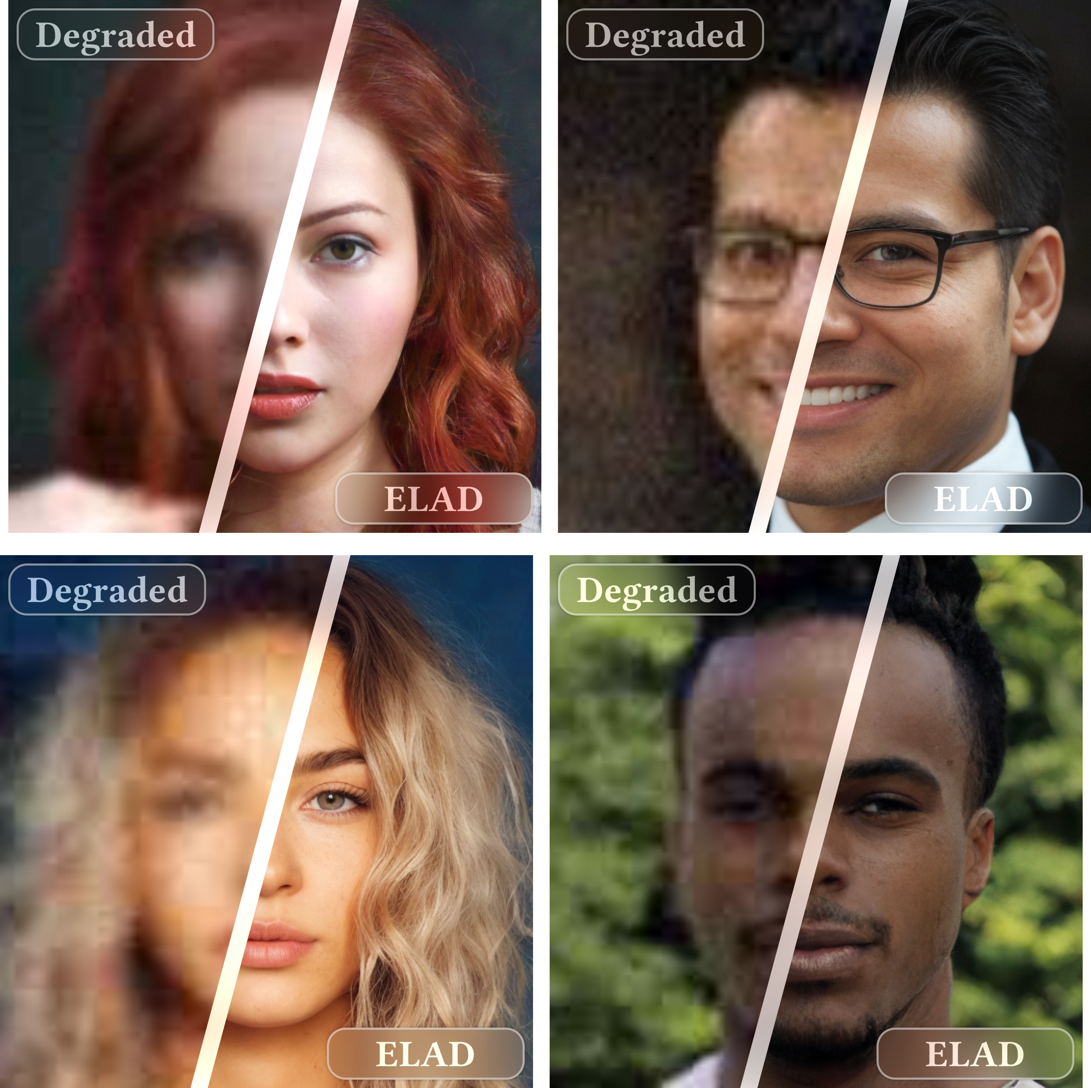 ELAD project image